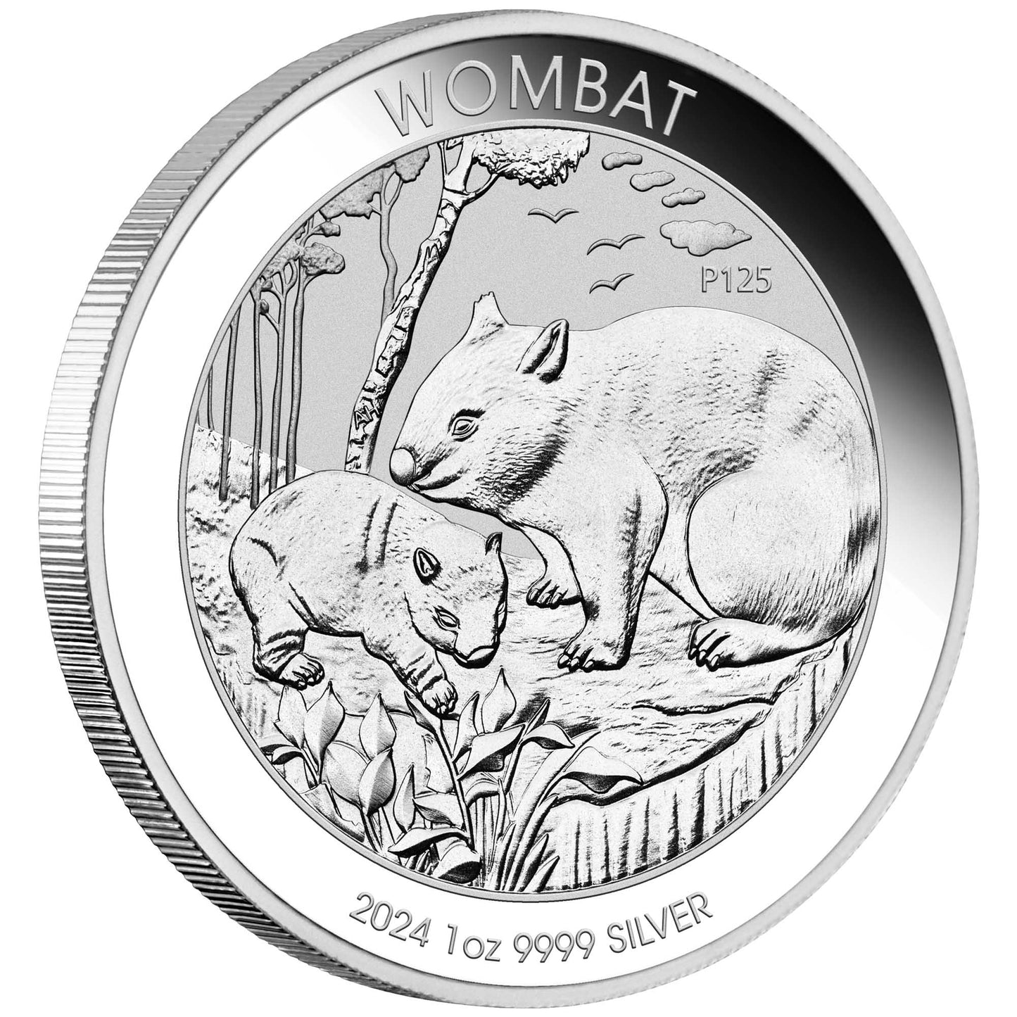 2024 Perth Mint Australian Wombat 1oz Silver Bullion Coin