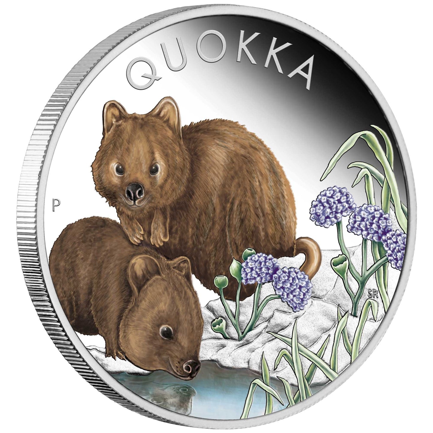 2023 Australian Quokka 1oz Silver Proof Coloured Coin