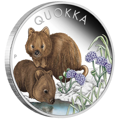 2023 Australian Quokka 1oz Silver Proof Coloured Coin