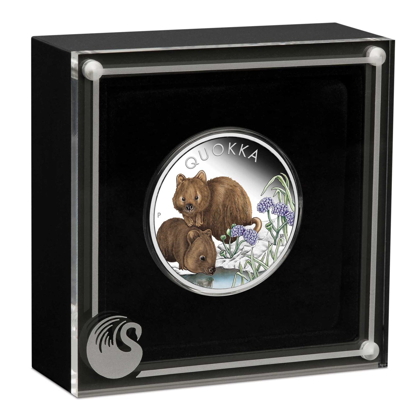 2023 Australian Quokka 1oz Silver Proof Coloured Coin