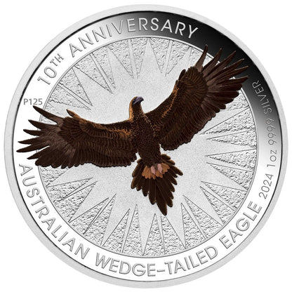 2024  PerthMint Australian Wedge-tailed Eagle 10th Anniversary 1oz Silver Coloured Coin in Card