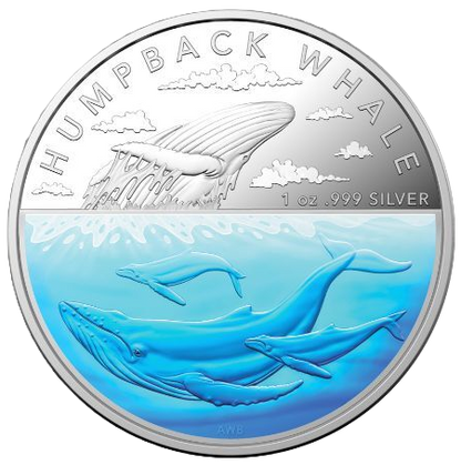 2023 Royal Australian Mint  Antarctic Territory Humpback Whale SIlver Proof Coloured Coin