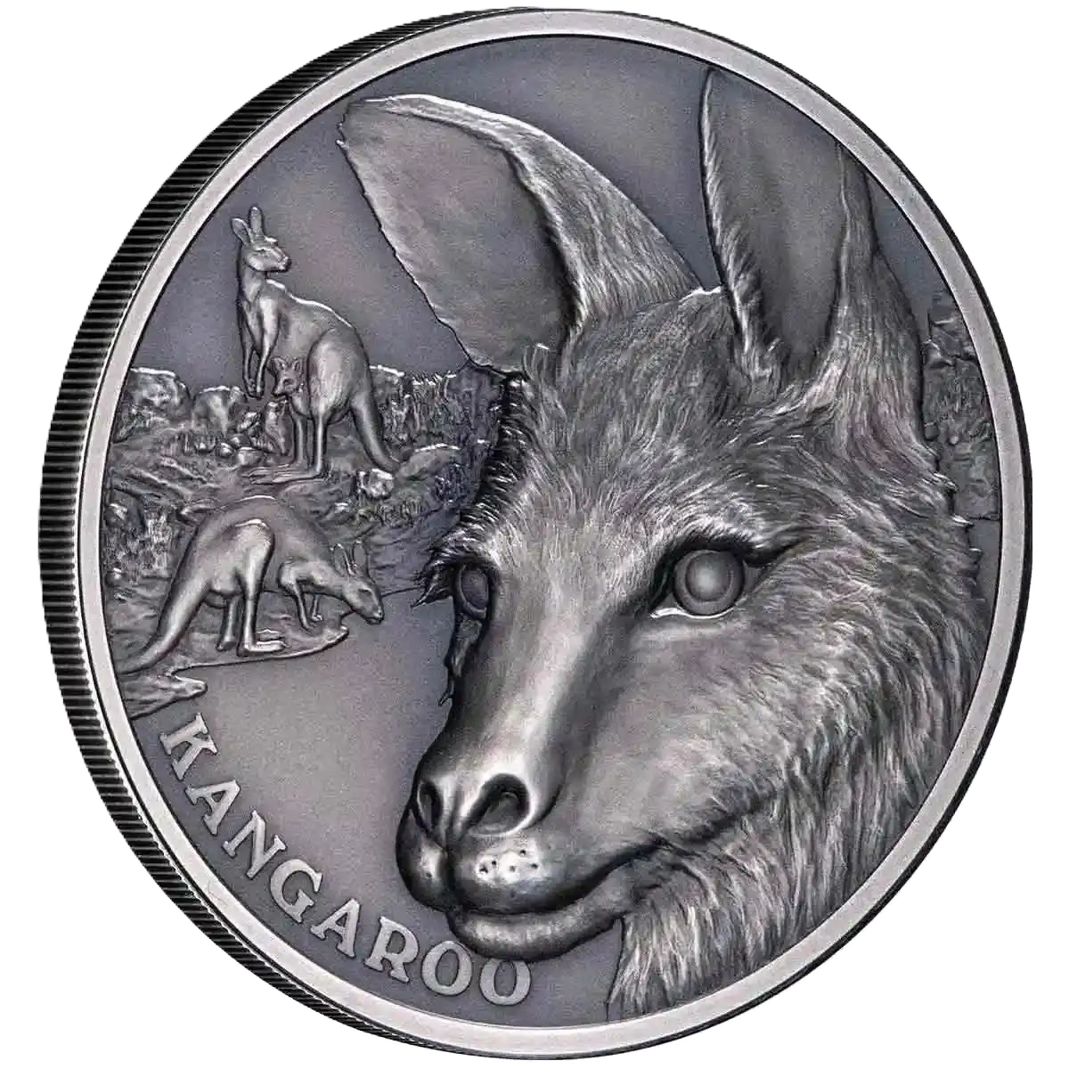 2021 Niue $1 Kangaroo 1oz Silver Antiqued Coin