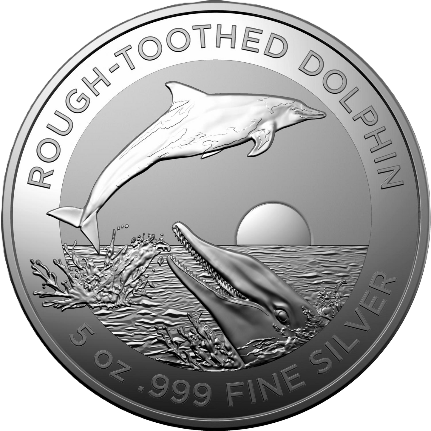 2023 Royal Australian Mint Australian Dolphin Series Rough Toothed Dolphin $1 1oz Silver Investment Coin