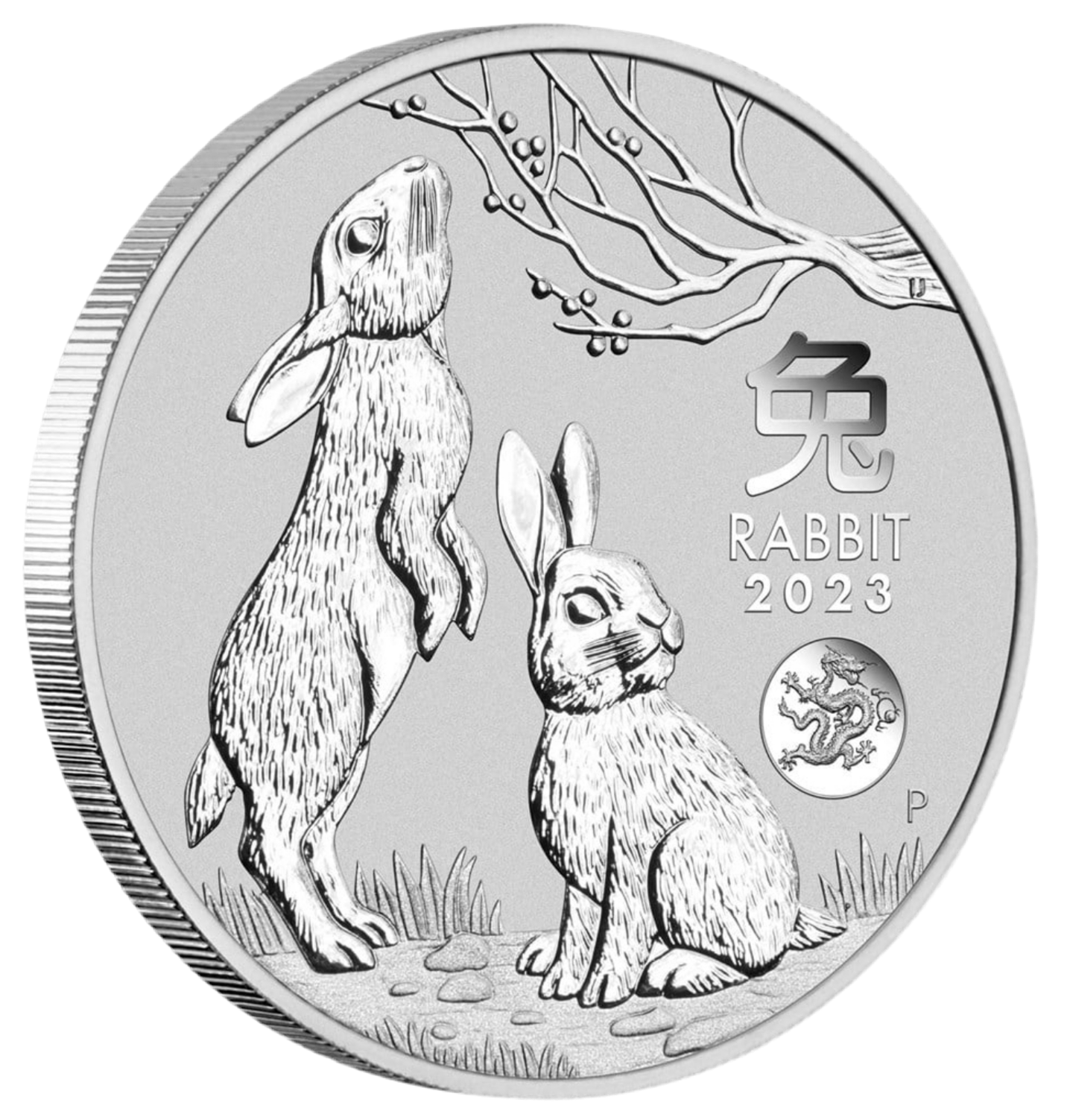 2023 Australian Lunar Series III Year of the Rabbit 1oz Silver Bullion Coin with Dragon Privy