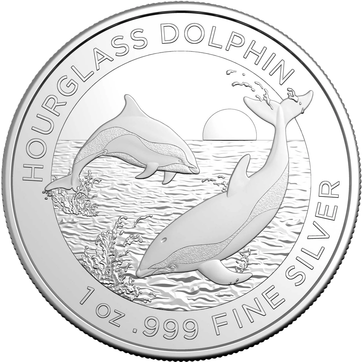 2024 Royal Australian Mint Dolphin Hourglass $1 1oz Silver Investment