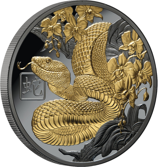 2025 Lunar Year of the Snake  $1 Gold-plated 1oz Silver Black Proof Coin