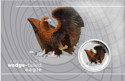 2025 Australian Wedge-tailed Eagle 1oz Silver Coloured Coin in Card