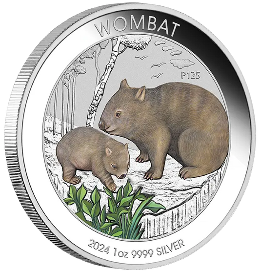 2024 Australian Wombat 2024 1oz Silver Coloured Coin in Card